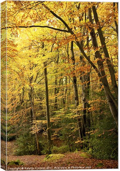 Autumn Woodland Scene IV Canvas Print by Natalie Kinnear