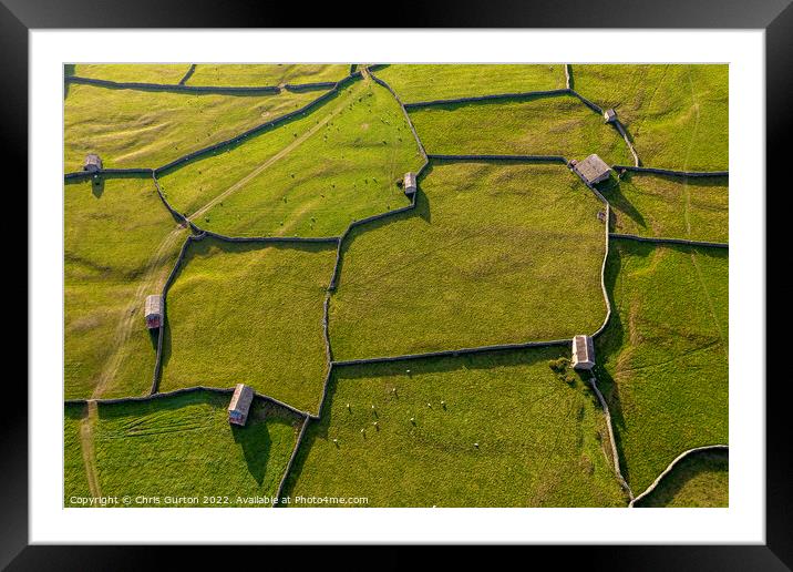 Swaledale Fields and Barns Framed Mounted Print by Chris Gurton
