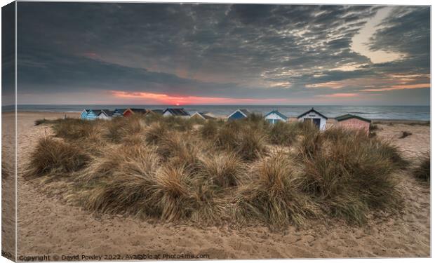 Beach Hut Sunrise on Southwold Beach Canvas Print by David Powley