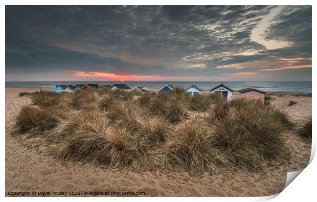 Beach Hut Sunrise on Southwold Beach Print by David Powley