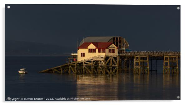Mumbles pier sunlit Acrylic by DAVID KNIGHT