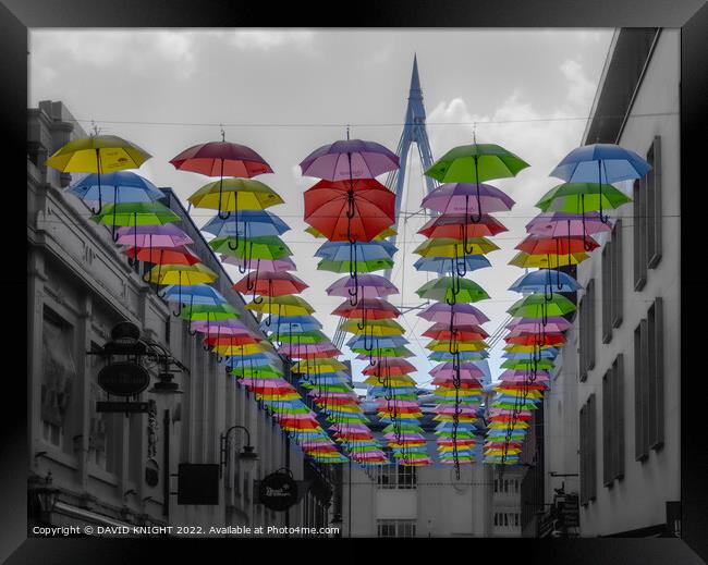 Pride Umbrellas Cardiff Framed Print by DAVID KNIGHT