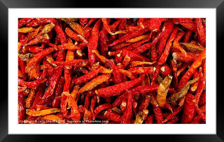 Red Hot Chilies Framed Mounted Print by Jaya Sharma
