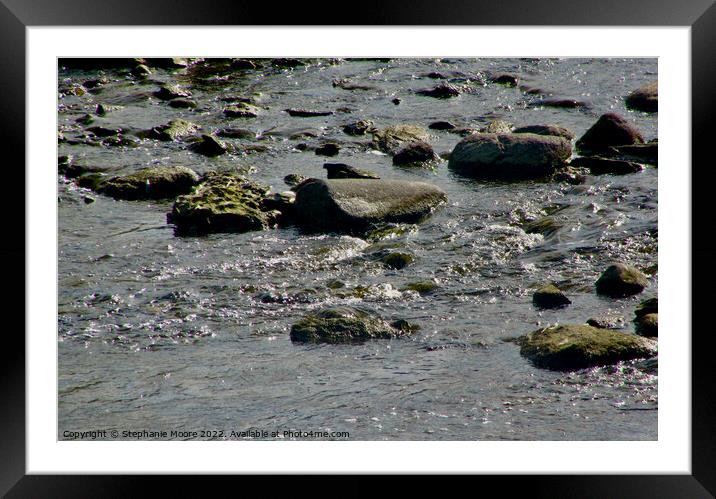 Sparkling Waters Framed Mounted Print by Stephanie Moore