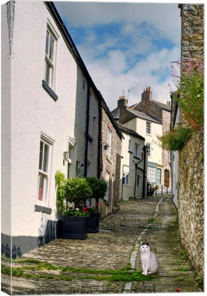 Richmond Yorkshire Alley Cat Canvas Print by Alison Chambers