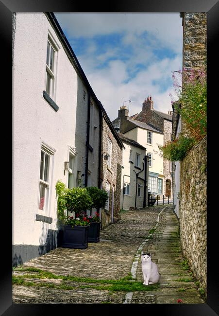 Richmond Yorkshire Alley Cat Framed Print by Alison Chambers