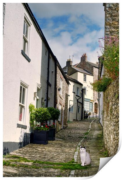 Richmond Yorkshire Alley Cat Print by Alison Chambers