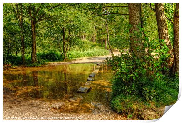 The Cannock Chase Stepping Stones Print by Diana Mower