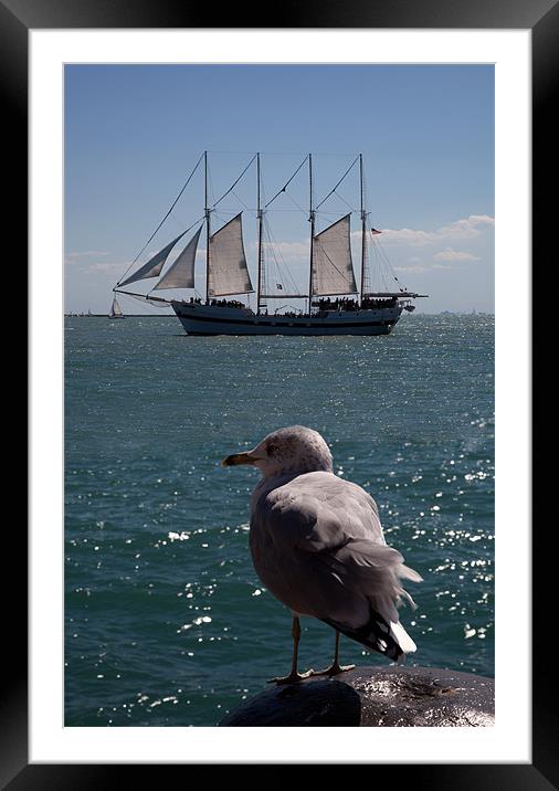 Tall Ship Cruise Framed Mounted Print by Gail Johnson
