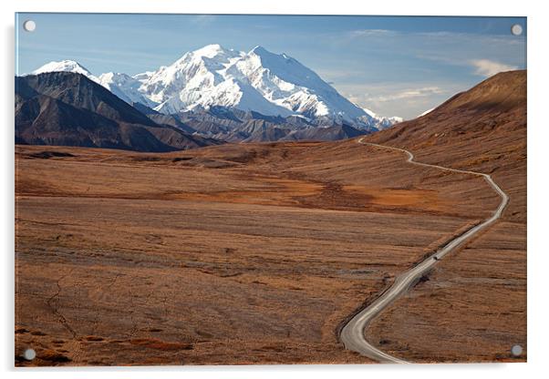 Mount McKinley Acrylic by Gail Johnson