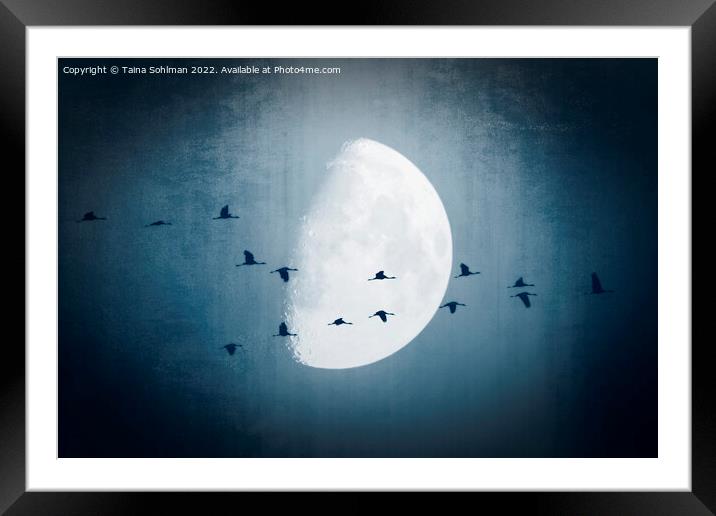 The Moon Sees Cranes Leave 1 Framed Mounted Print by Taina Sohlman