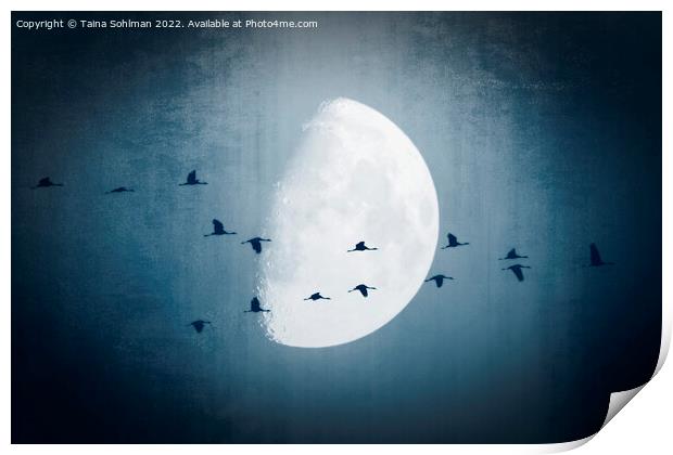 The Moon Sees Cranes Leave 1 Print by Taina Sohlman