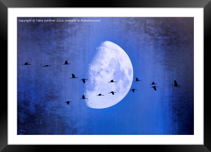 The Moon Sees Cranes Leave 2 Framed Mounted Print by Taina Sohlman
