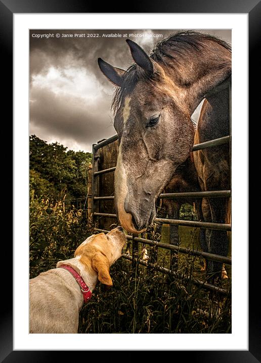 Horse and Hound Framed Mounted Print by Janie Pratt