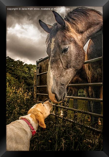 Horse and Hound Framed Print by Janie Pratt