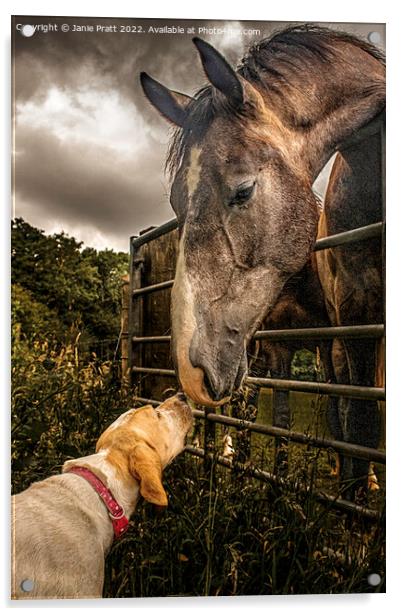 Horse and Hound Acrylic by Janie Pratt