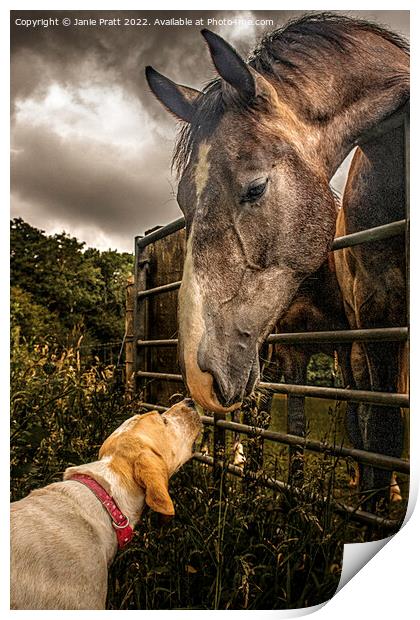 Horse and Hound Print by Janie Pratt