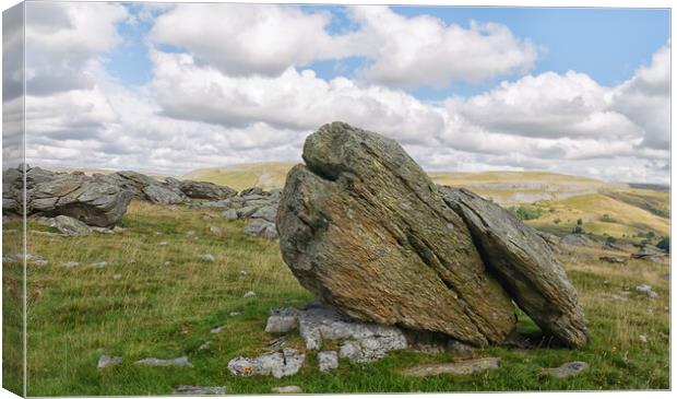 Norber Erratic Canvas Print by Mark Godden