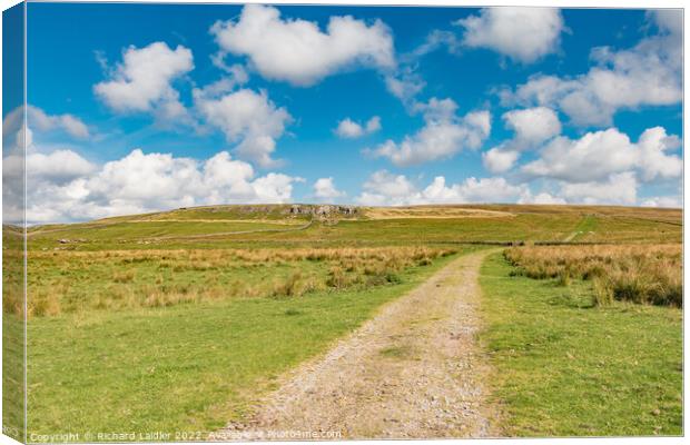 Up To High Hurth Edge, Teesdale Canvas Print by Richard Laidler