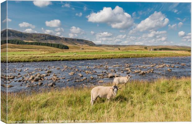 The Pennine Way at Cronkley, Teesdale (2) Canvas Print by Richard Laidler