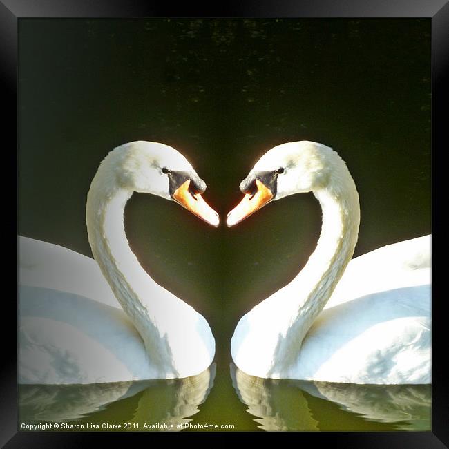 Symmetric Love Framed Print by Sharon Lisa Clarke