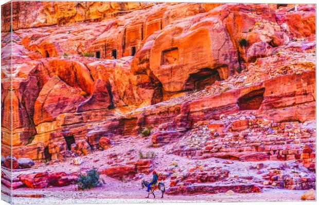 Donkey Rose Red Rock Tombs Street of Facades Petra Jordan  Canvas Print by William Perry