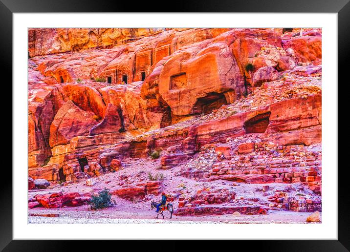 Donkey Rose Red Rock Tombs Street of Facades Petra Jordan  Framed Mounted Print by William Perry