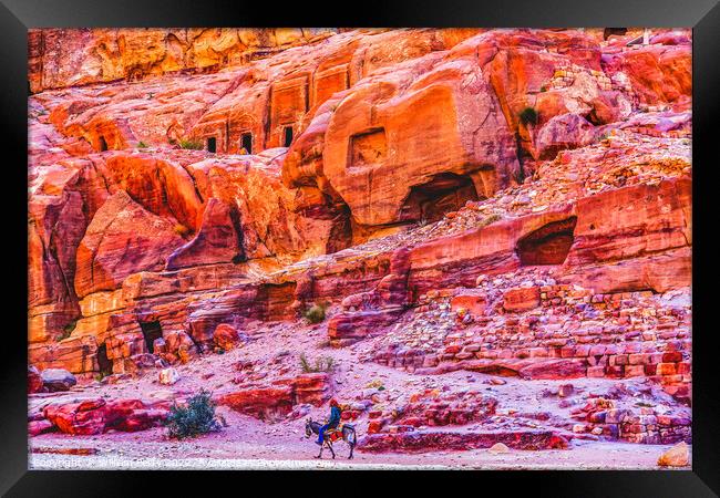 Donkey Rose Red Rock Tombs Street of Facades Petra Jordan  Framed Print by William Perry