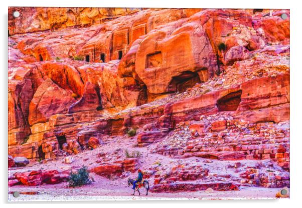 Donkey Rose Red Rock Tombs Street of Facades Petra Jordan  Acrylic by William Perry