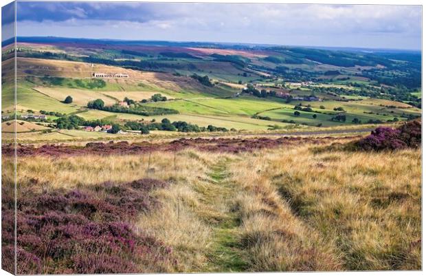 Yorkshire Moorland Landscape Canvas Print by Martyn Arnold