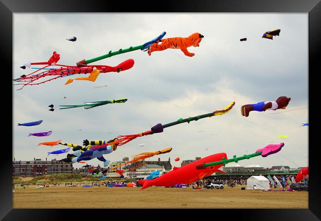 Lytham St. Annes kite festival. Framed Print by David Birchall