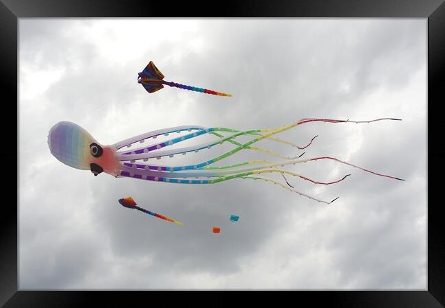 Novelty octopus kite. Framed Print by David Birchall