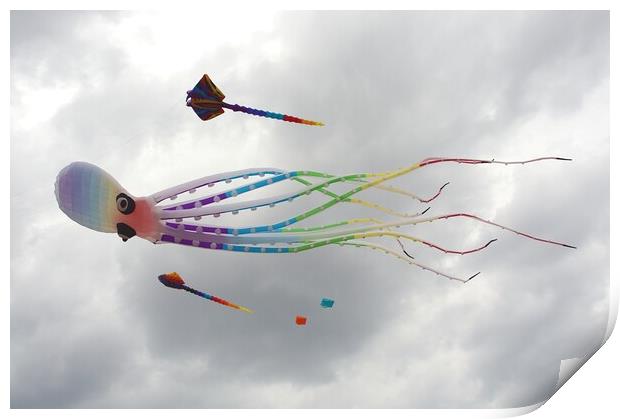 Novelty octopus kite. Print by David Birchall