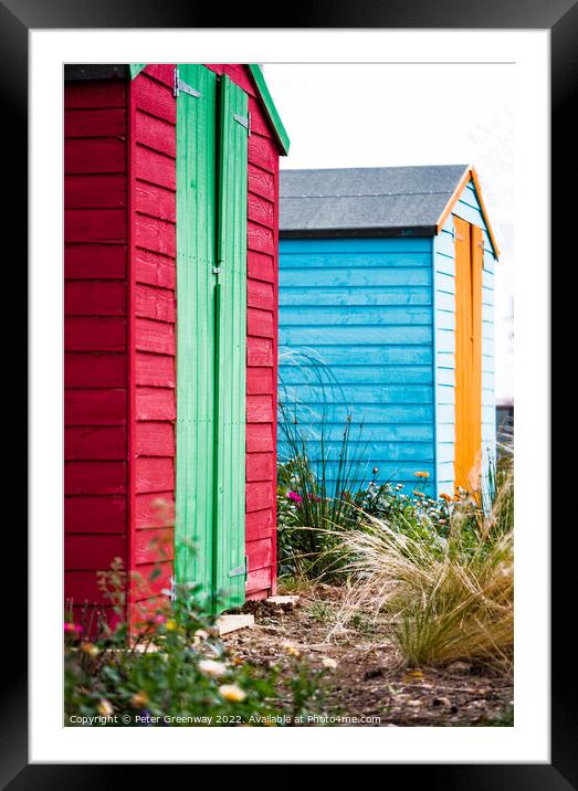 Brightly Coloured Wooden Allotment Sheds Framed Mounted Print by Peter Greenway