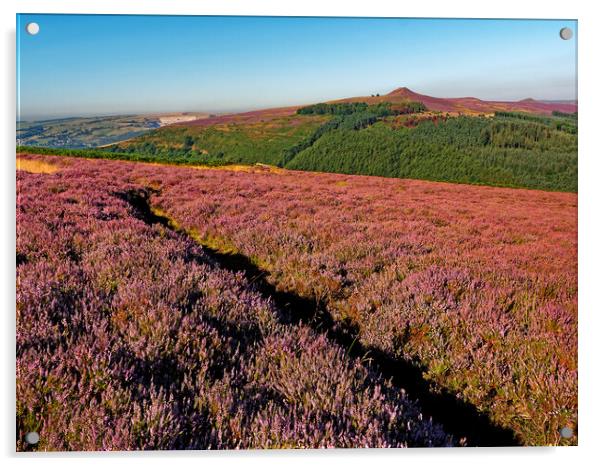 Win Hill from Bamford Edge, Derbyshire, Peak District Acrylic by Darren Galpin