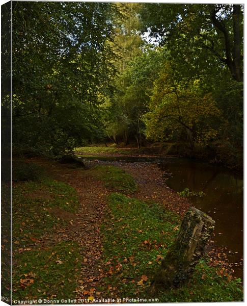 Autumnal New Forest Stream Canvas Print by Donna Collett