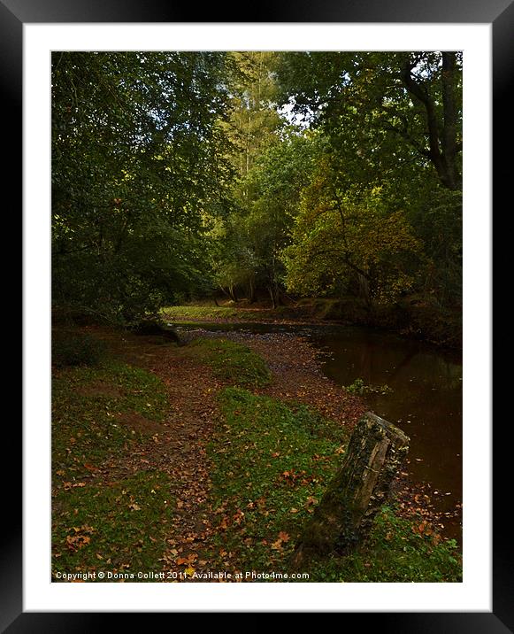 Autumnal New Forest Stream Framed Mounted Print by Donna Collett