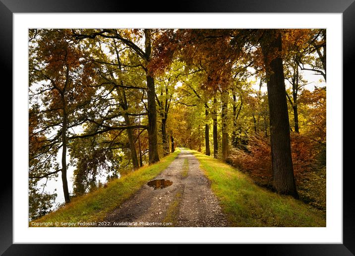 Path road in autumn forest, Czech Republic Framed Mounted Print by Sergey Fedoskin