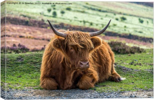 Highland Cow Canvas Print by Jo Sowden