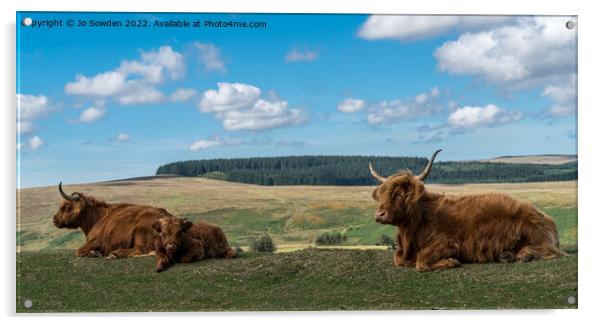 Highland Cows resting Acrylic by Jo Sowden