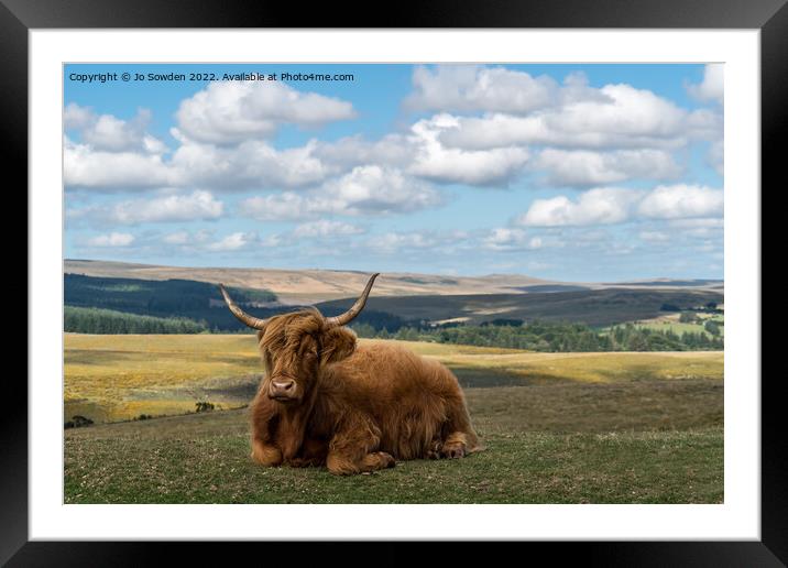 Highland Cow resting Framed Mounted Print by Jo Sowden