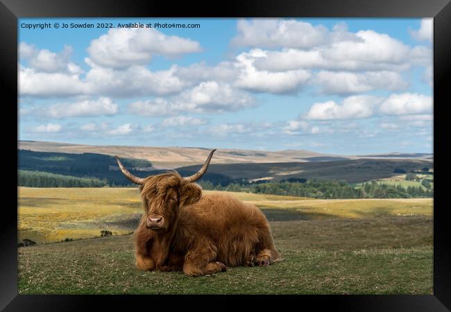 Highland Cow resting Framed Print by Jo Sowden