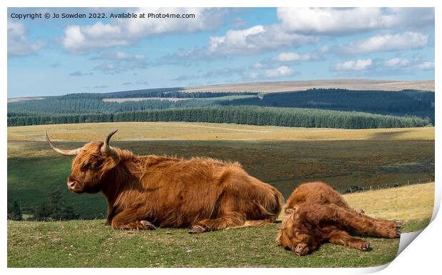Mother and baby Highland Cow Print by Jo Sowden