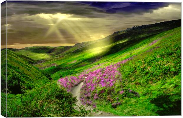 Peak District Heather Moor Canvas Print by Alison Chambers