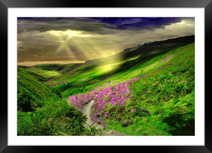 Peak District Heather Moor Framed Mounted Print by Alison Chambers
