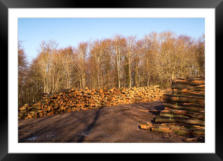 Piles of logs Framed Mounted Print by Sally Wallis