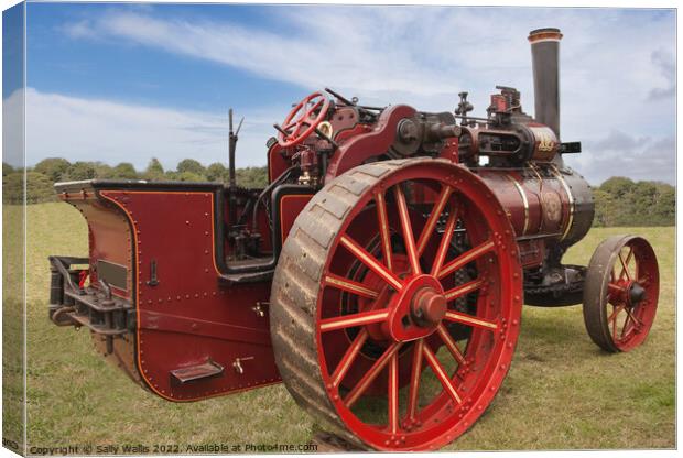 Bright and shiny steam tractor Canvas Print by Sally Wallis