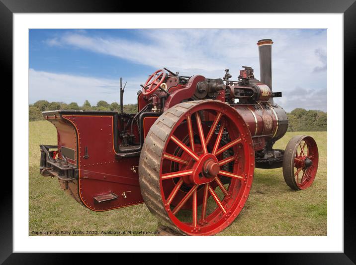 Bright and shiny steam tractor Framed Mounted Print by Sally Wallis