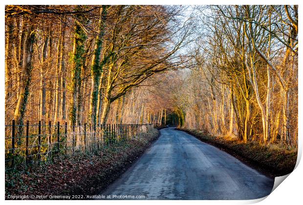 The Road To Chastleton House At Sunset Print by Peter Greenway