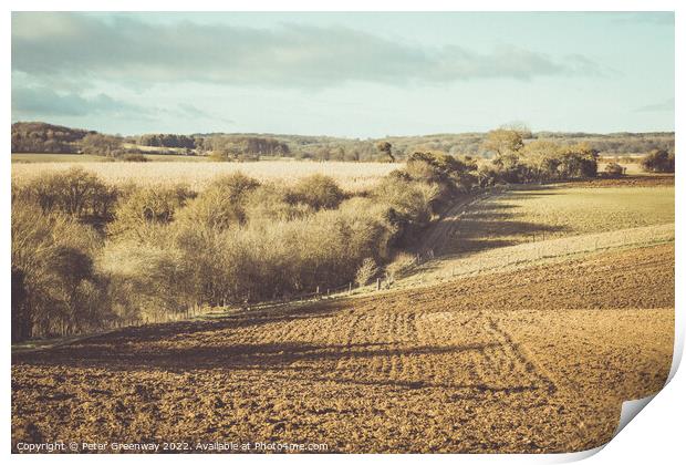 The Rural Oxfordshire Countryside In Winter - Stonesfield Print by Peter Greenway